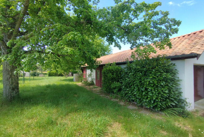 a vendre - image 14