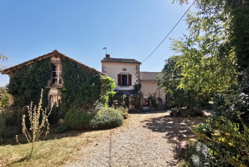 a vendre - image 2