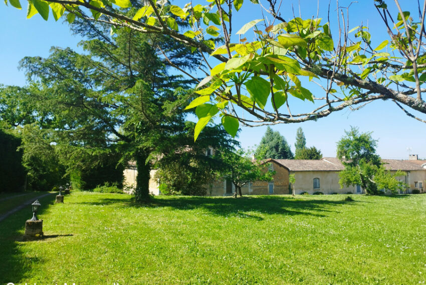 a vendre - image 1
