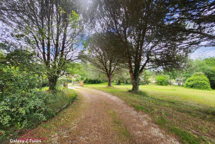 a vendre - image 15