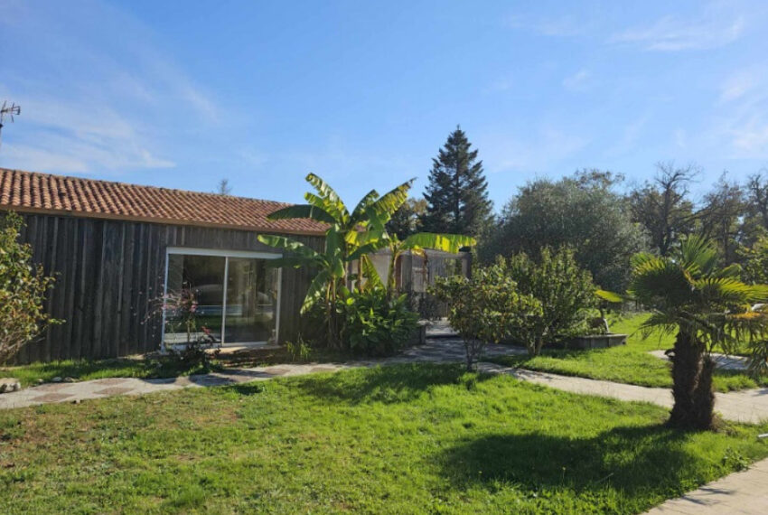 a vendre - image 2
